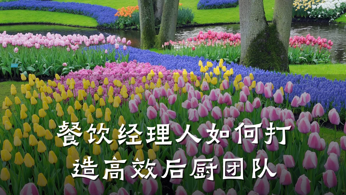 餐饮经理人如何打造高效后厨团队