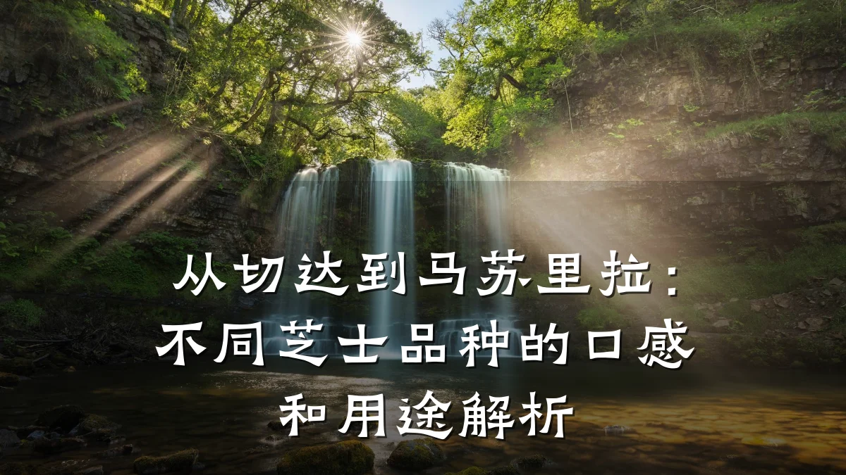 从切达到马苏里拉：不同芝士品种的口感和用途解析