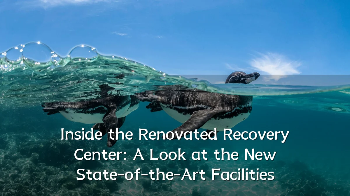 Inside the Renovated Recovery Center: A Look at the New State-of-the-Art Facilities