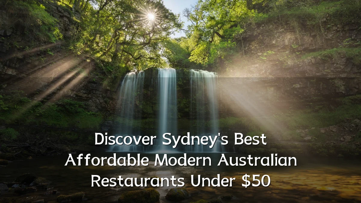 Discover Sydney's Best Affordable Modern Australian Restaurants Under $50
