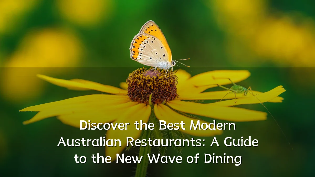 Discover the Best Modern Australian Restaurants: A Guide to the New Wave of Dining