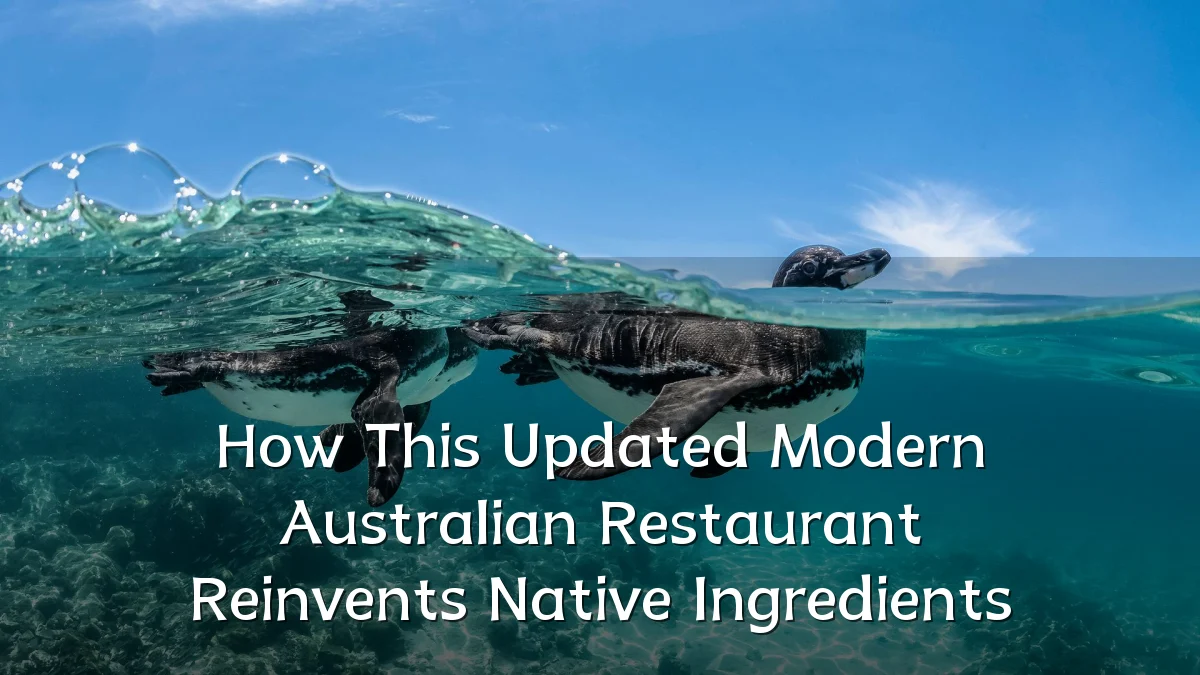 How This Updated Modern Australian Restaurant Reinvents Native Ingredients