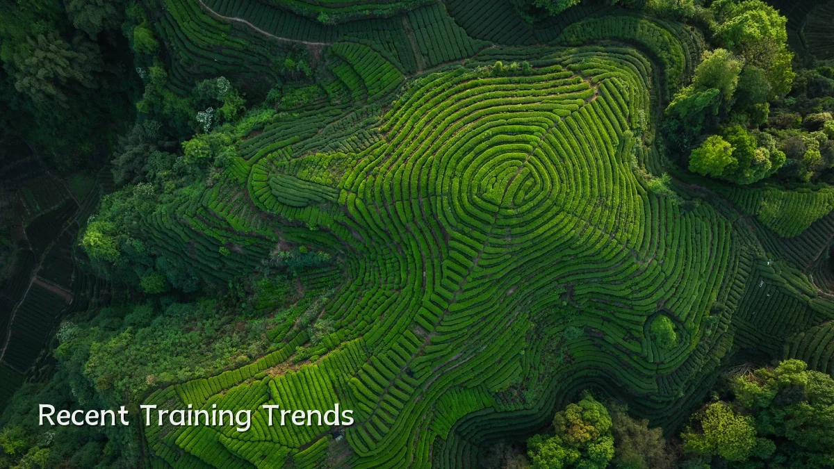 Recent Training Trends