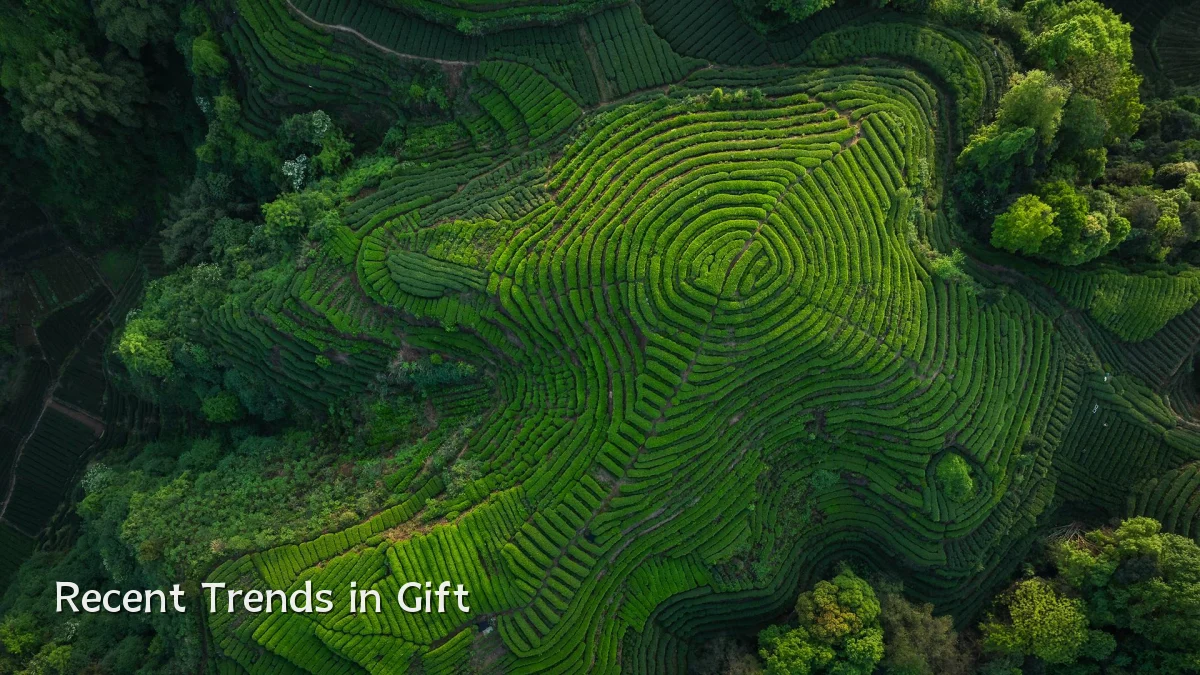 Recent Trends in Gift