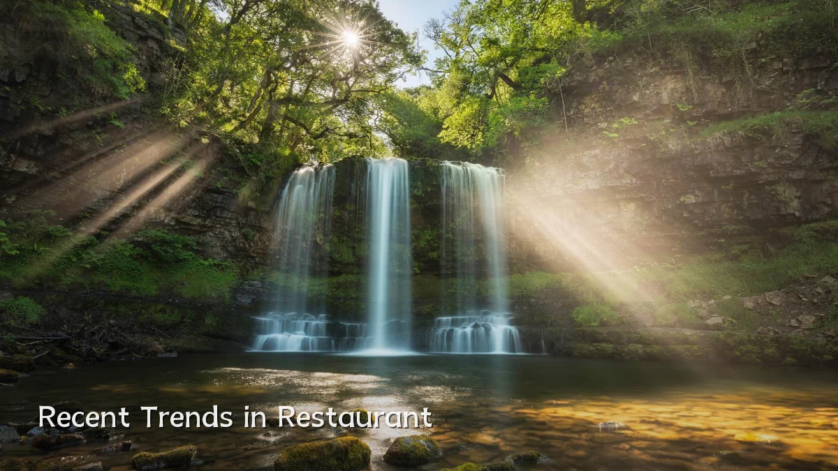 Recent Trends in Restaurant