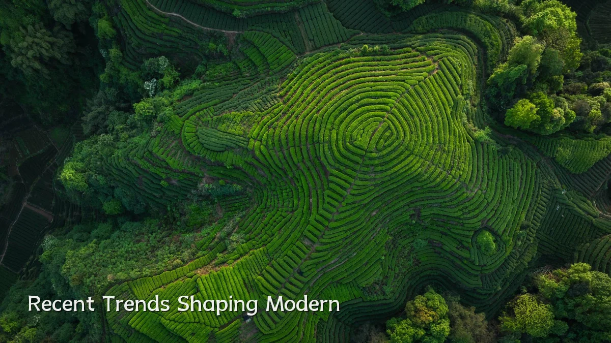 Recent Trends Shaping Modern