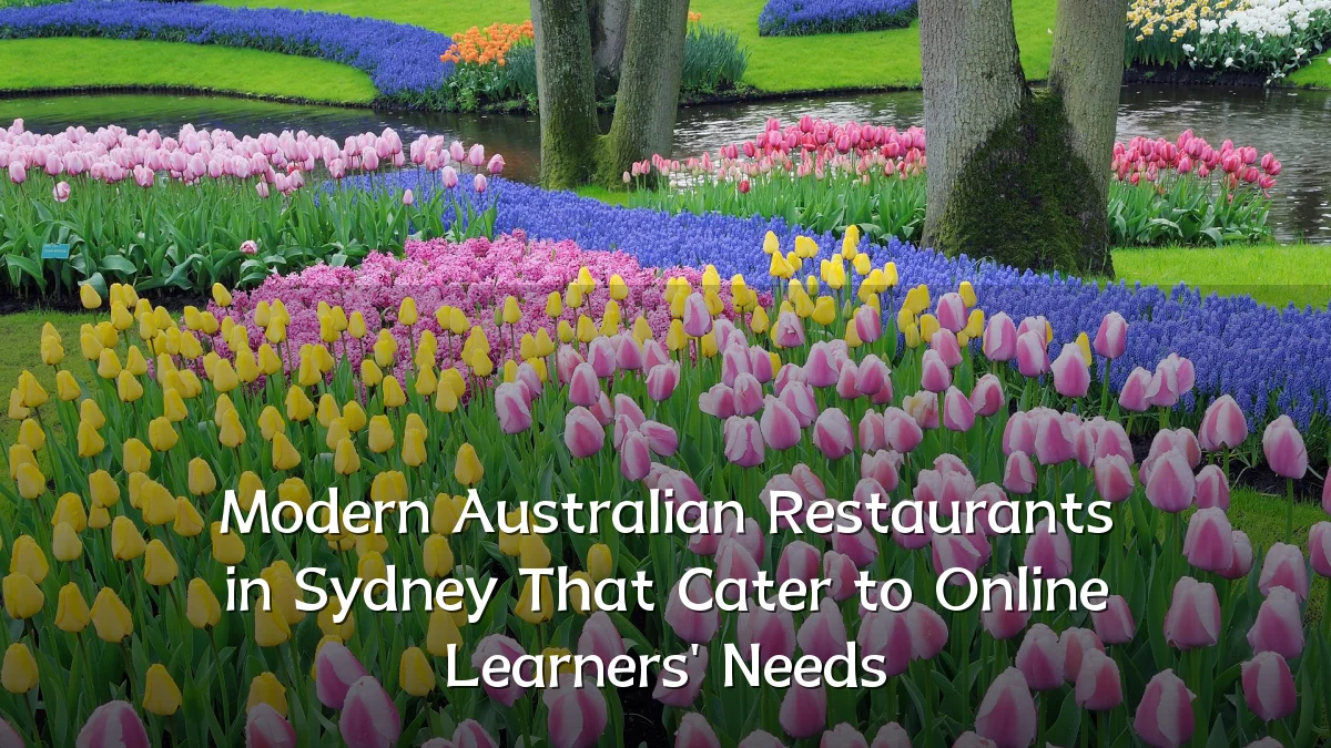 Modern Australian Restaurants in Sydney That Cater to Online Learners' Needs
