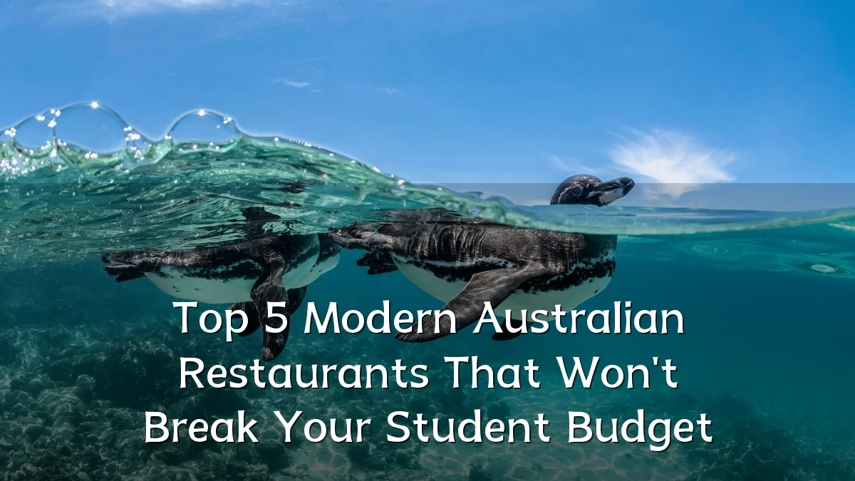 Top 5 Modern Australian Restaurants That Won't Break Your Student Budget
