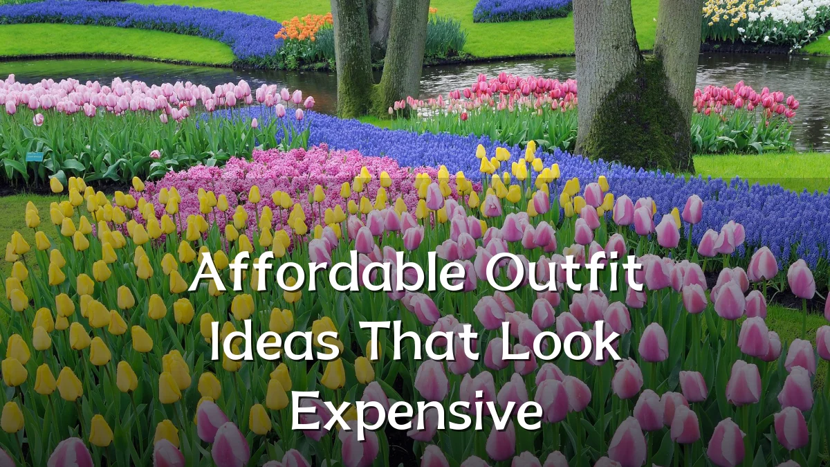 Affordable Outfit Ideas That Look Expensive