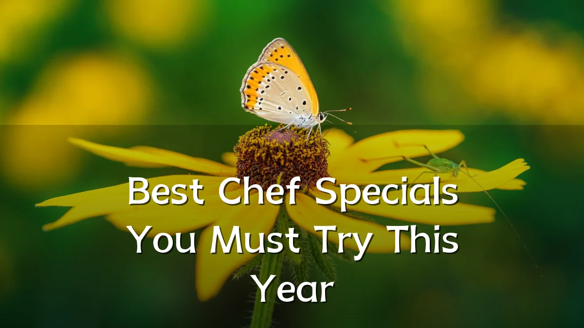 Best Chef Specials You Must Try This Year