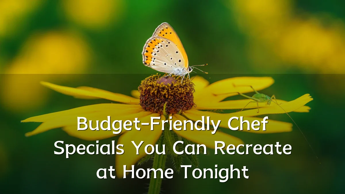 Budget-Friendly Chef Specials You Can Recreate at Home Tonight