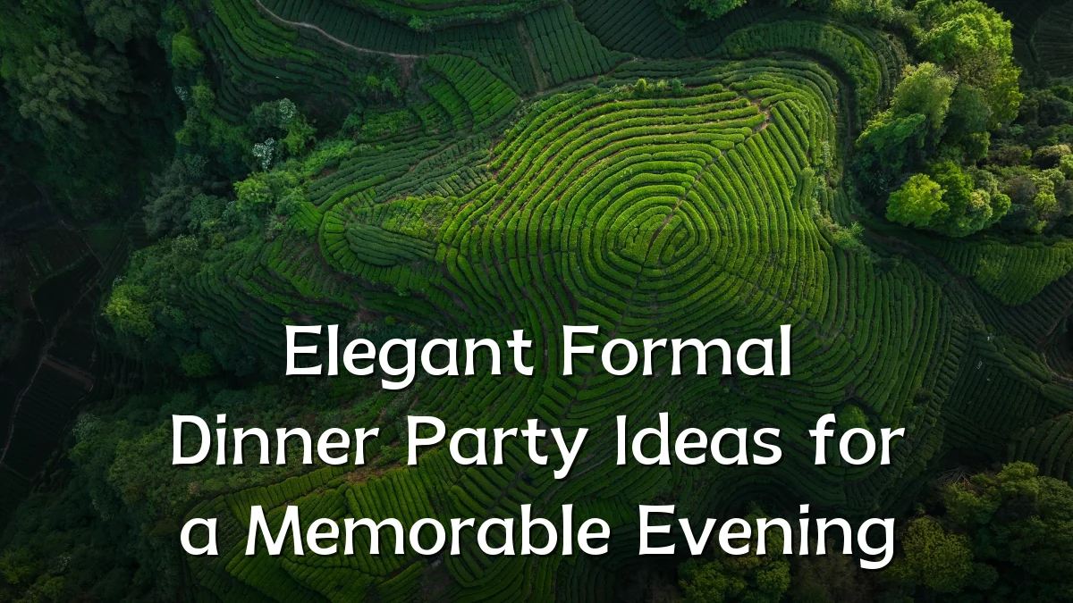 Elegant Formal Dinner Party Ideas for a Memorable Evening
