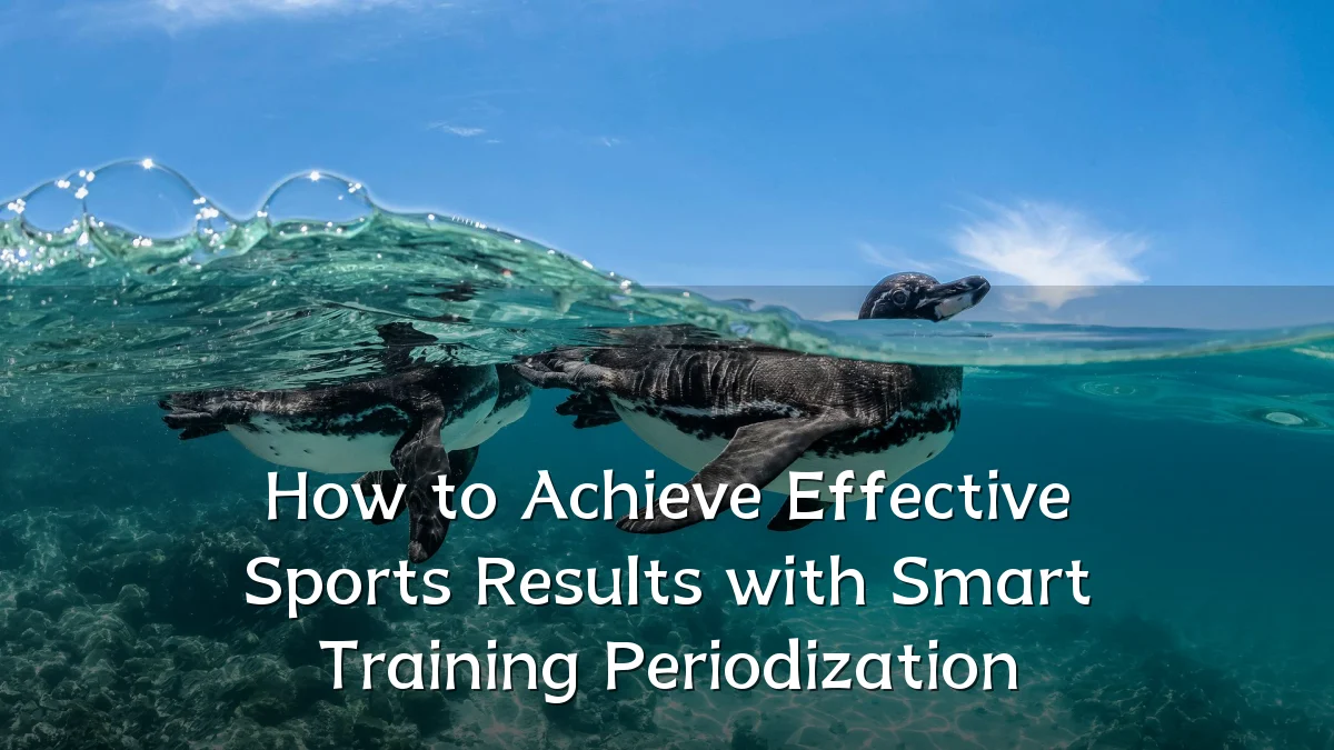 How to Achieve Effective Sports Results with Smart Training Periodization