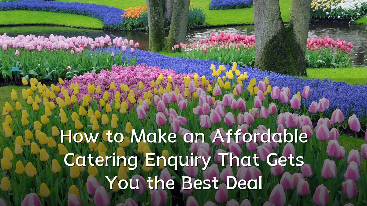 How to Make an Affordable Catering Enquiry That Gets You the Best Deal