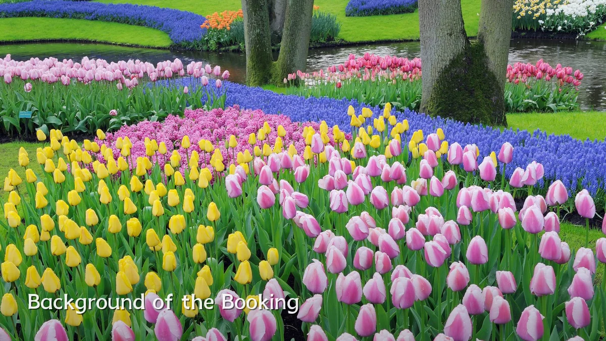 Background of the Booking