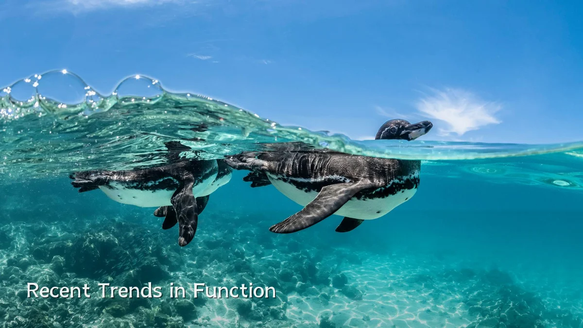 Recent Trends in Function