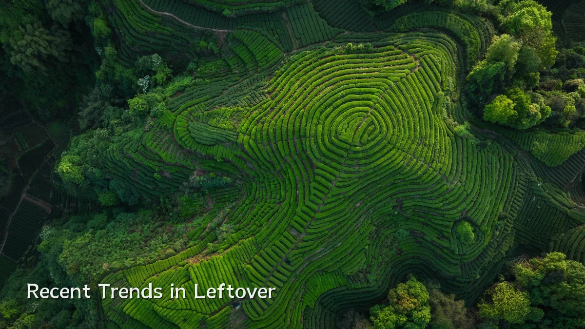 Recent Trends in Leftover