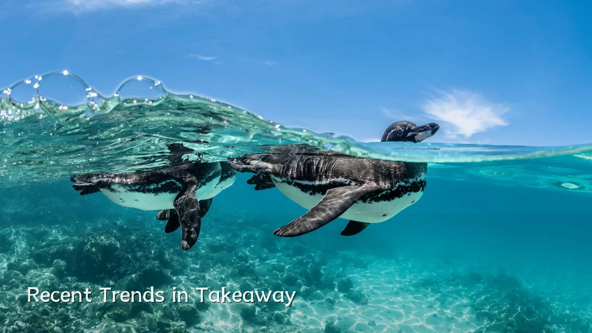 Recent Trends in Takeaway