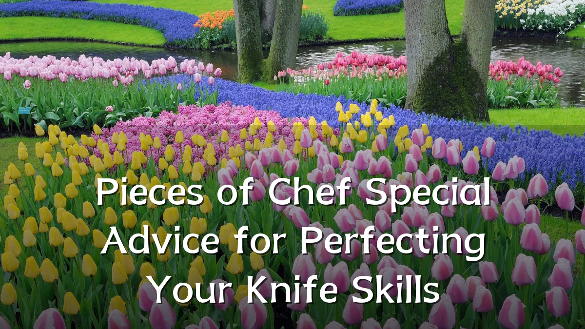 Pieces of Chef Special Advice for Perfecting Your Knife Skills