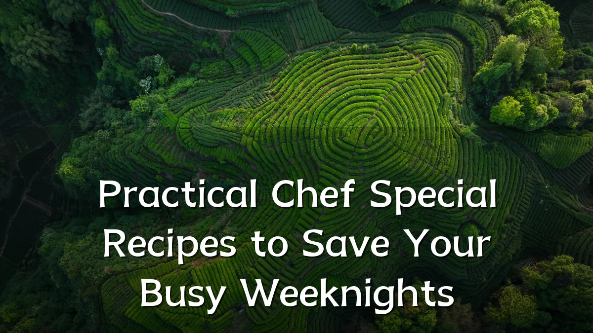 Practical Chef Special Recipes to Save Your Busy Weeknights