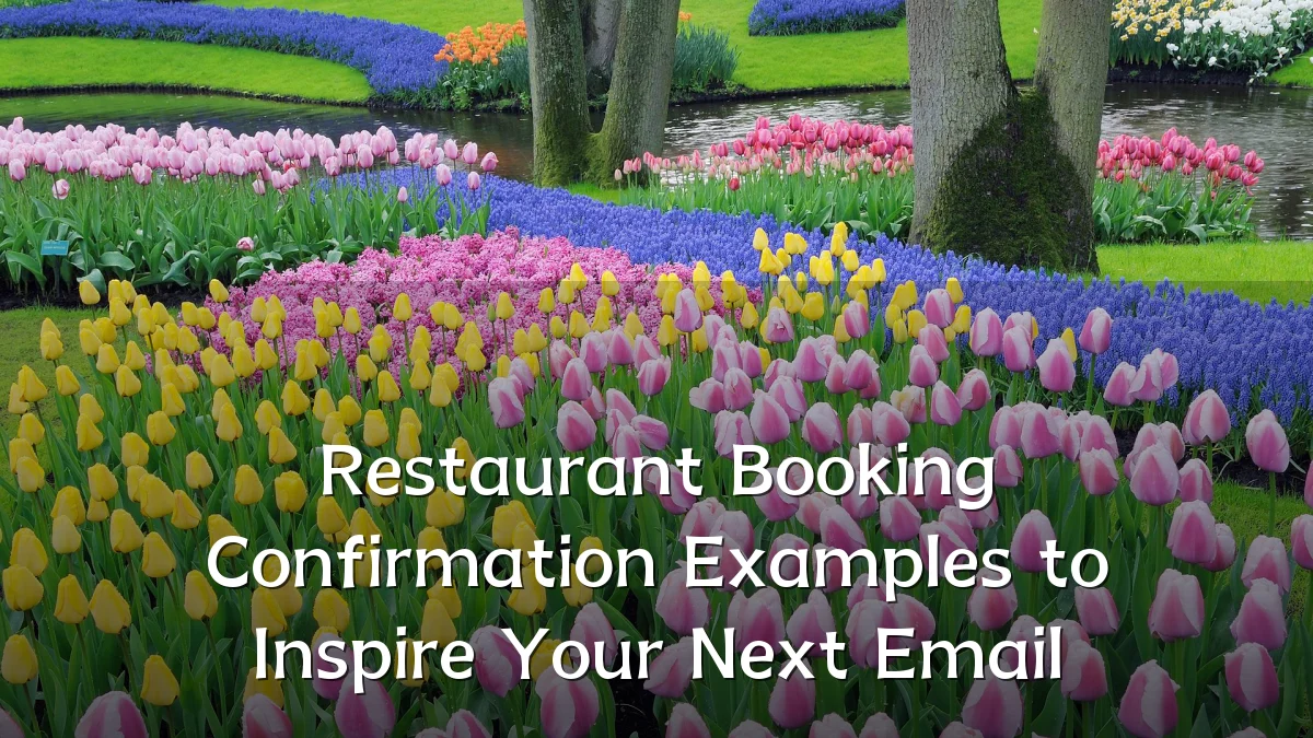 Restaurant Booking Confirmation Examples to Inspire Your Next Email