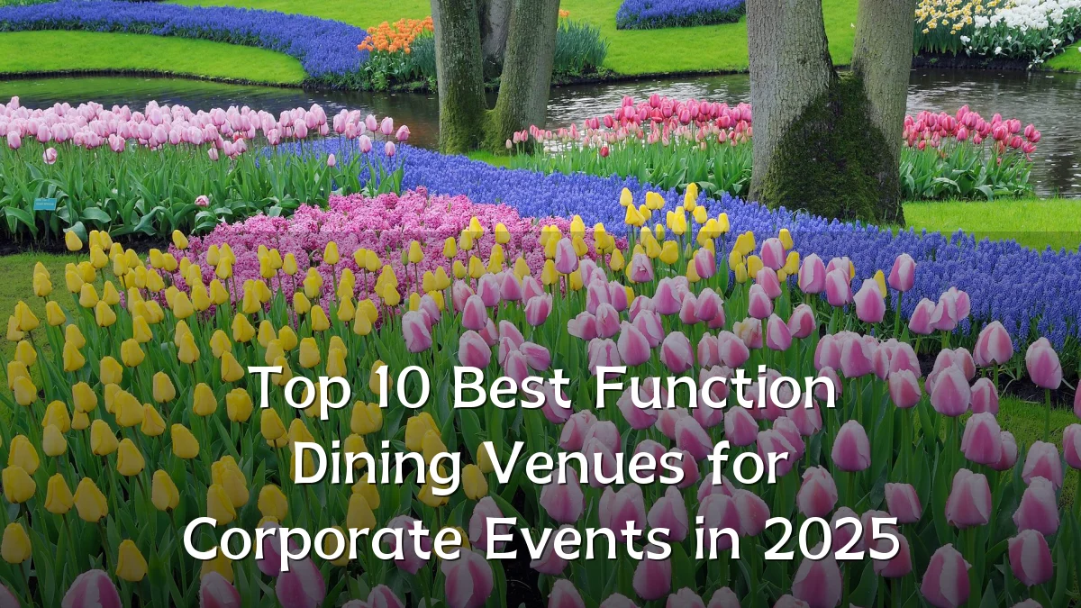 Top 10 Best Function Dining Venues for Corporate Events in 2025