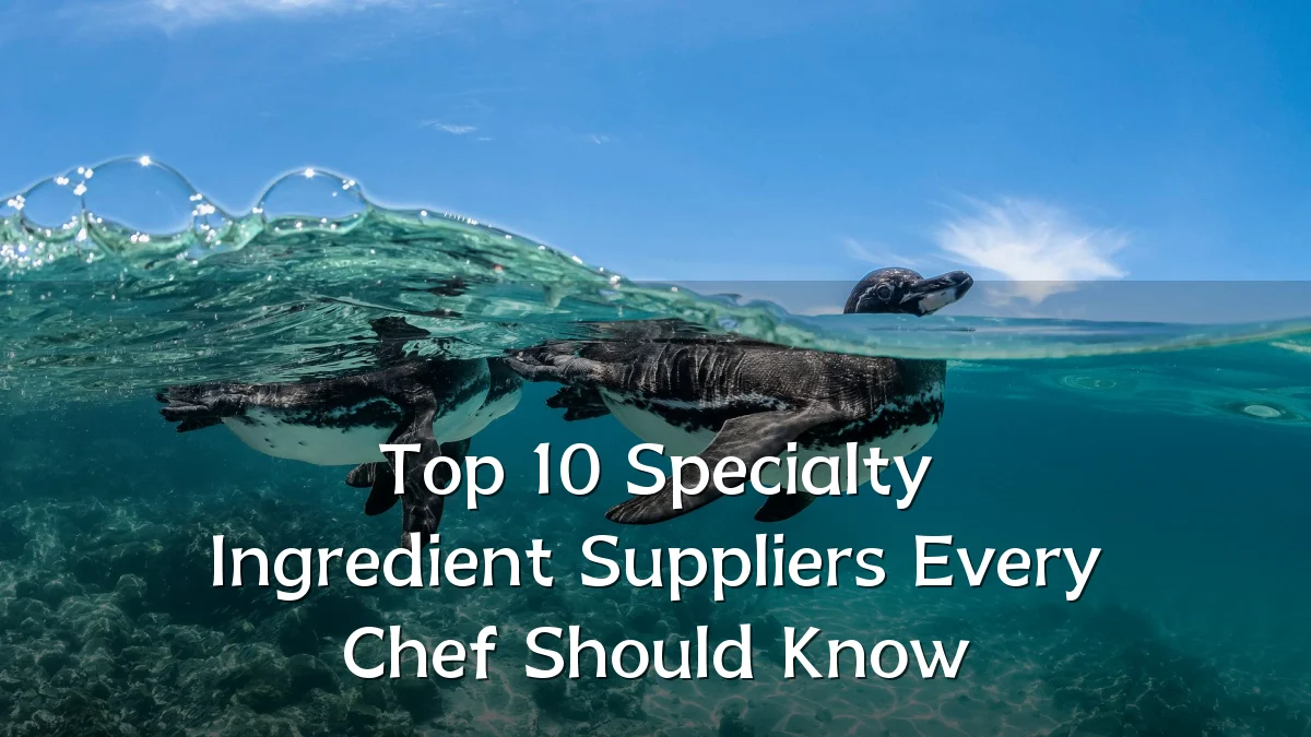 Top 10 Specialty Ingredient Suppliers Every Chef Should Know